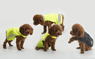 Pet safety vests